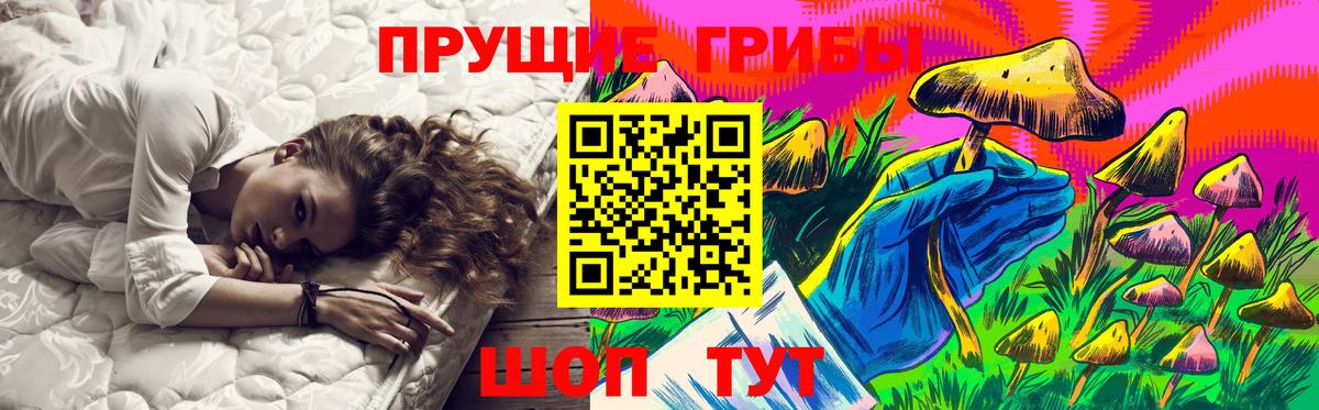 Галлюциногенные грибы GOLDEN TEACHER Муром